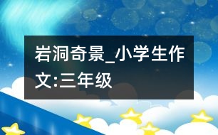 巖洞奇景_小學生作文:三年級