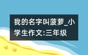 我的名字叫菠蘿_小學生作文:三年級