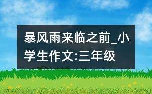 暴風(fēng)雨來臨之前_小學(xué)生作文:三年級(jí)