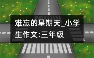 難忘的星期天_小學生作文:三年級
