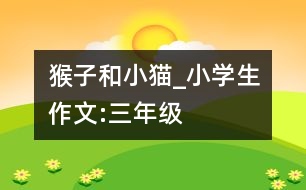 猴子和小貓_小學生作文:三年級