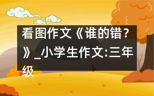 看圖作文《誰的錯？》_小學(xué)生作文:三年級