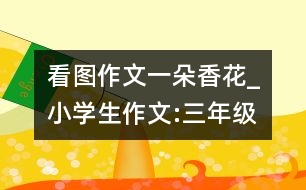 看圖作文一朵香花_小學(xué)生作文:三年級(jí)
