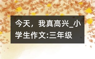 今天，我真高興_小學(xué)生作文:三年級(jí)