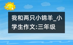 我和兩只小錦羊_小學(xué)生作文:三年級