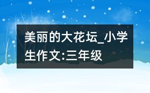 美麗的大花壇_小學(xué)生作文:三年級(jí)
