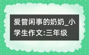 愛管閑事的奶奶_小學(xué)生作文:三年級(jí)
