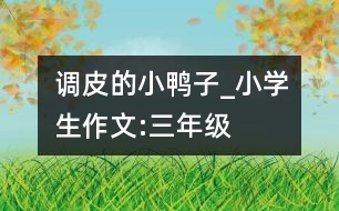 調(diào)皮的小鴨子_小學(xué)生作文:三年級