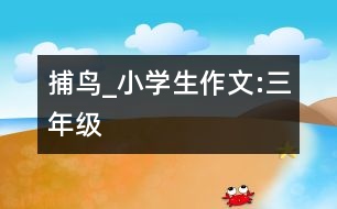 捕鳥_小學生作文:三年級