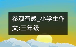 參觀(guān)有感_小學(xué)生作文:三年級(jí)