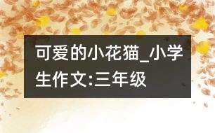 可愛的小花貓_小學(xué)生作文:三年級