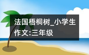 法國(guó)梧桐樹(shù)_小學(xué)生作文:三年級(jí)