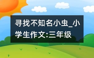 尋找不知名小蟲(chóng)_小學(xué)生作文:三年級(jí)