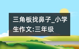 三角板找鼻子_小學(xué)生作文:三年級