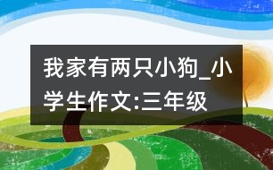 我家有兩只小狗_小學(xué)生作文:三年級