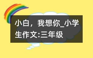 小白，我想你_小學生作文:三年級
