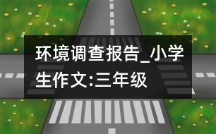 環(huán)境調(diào)查報(bào)告_小學(xué)生作文:三年級(jí)