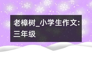 老樟樹_小學(xué)生作文:三年級(jí)
