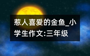 惹人喜愛(ài)的金魚_小學(xué)生作文:三年級(jí)