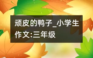 頑皮的鴨子_小學(xué)生作文:三年級(jí)