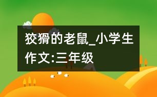 狡猾的老鼠_小學(xué)生作文:三年級