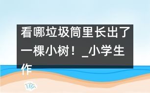 看哪垃圾筒里長出了一棵小樹！_小學生作文:三年級