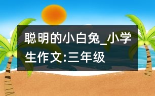 聰明的小白兔_小學生作文:三年級