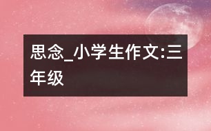 思念_小學生作文:三年級