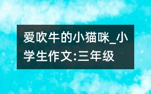 愛吹牛的小貓咪_小學(xué)生作文:三年級(jí)