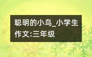 聰明的小鳥_小學(xué)生作文:三年級(jí)