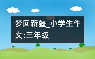 夢回新疆_小學(xué)生作文:三年級(jí)