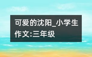 可愛的沈陽_小學(xué)生作文:三年級(jí)