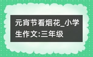 元宵節(jié)看煙花_小學生作文:三年級
