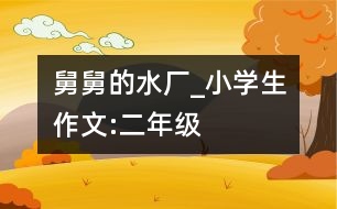 舅舅的水廠_小學生作文:二年級