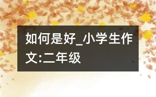 如何是好_小學生作文:二年級