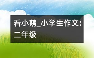 看小鵝_小學(xué)生作文:二年級(jí)