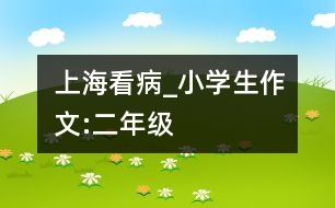 上?？床小學生作文:二年級