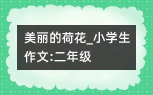 美麗的荷花_小學(xué)生作文:二年級
