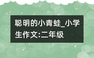 聰明的小青蛙_小學(xué)生作文:二年級(jí)