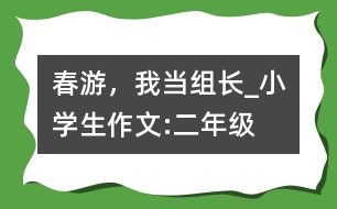 春游，我當(dāng)組長_小學(xué)生作文:二年級