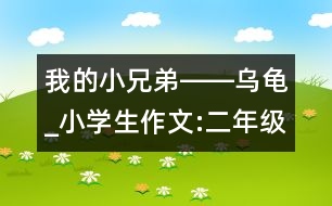 我的小兄弟――烏龜_小學生作文:二年級