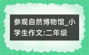 參觀自然博物館_小學生作文:二年級