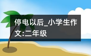 停電以后_小學生作文:二年級