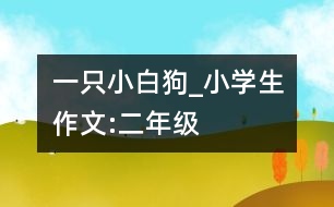 一只小白狗_小學(xué)生作文:二年級