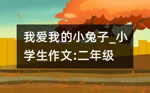 我愛(ài)我的小兔子_小學(xué)生作文:二年級(jí)