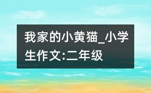 我家的小黃貓_小學(xué)生作文:二年級