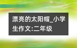 漂亮的太陽(yáng)帽_小學(xué)生作文:二年級(jí)