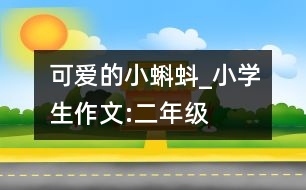 可愛的小蝌蚪_小學生作文:二年級