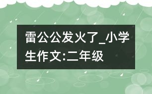 雷公公發(fā)火了_小學(xué)生作文:二年級