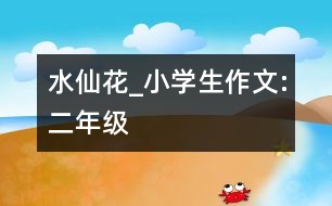 水仙花_小學(xué)生作文:二年級